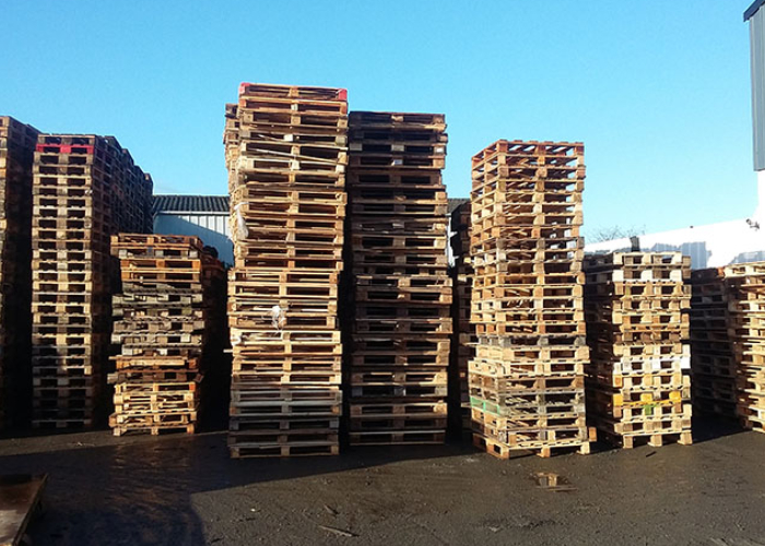 Stock de palettes Europe et palettes standards en bois sur parc logistique de Center Euro Palettes